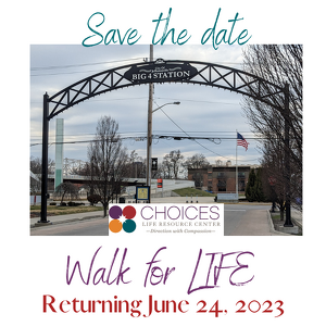 Team Page: Team Walk for Babies 